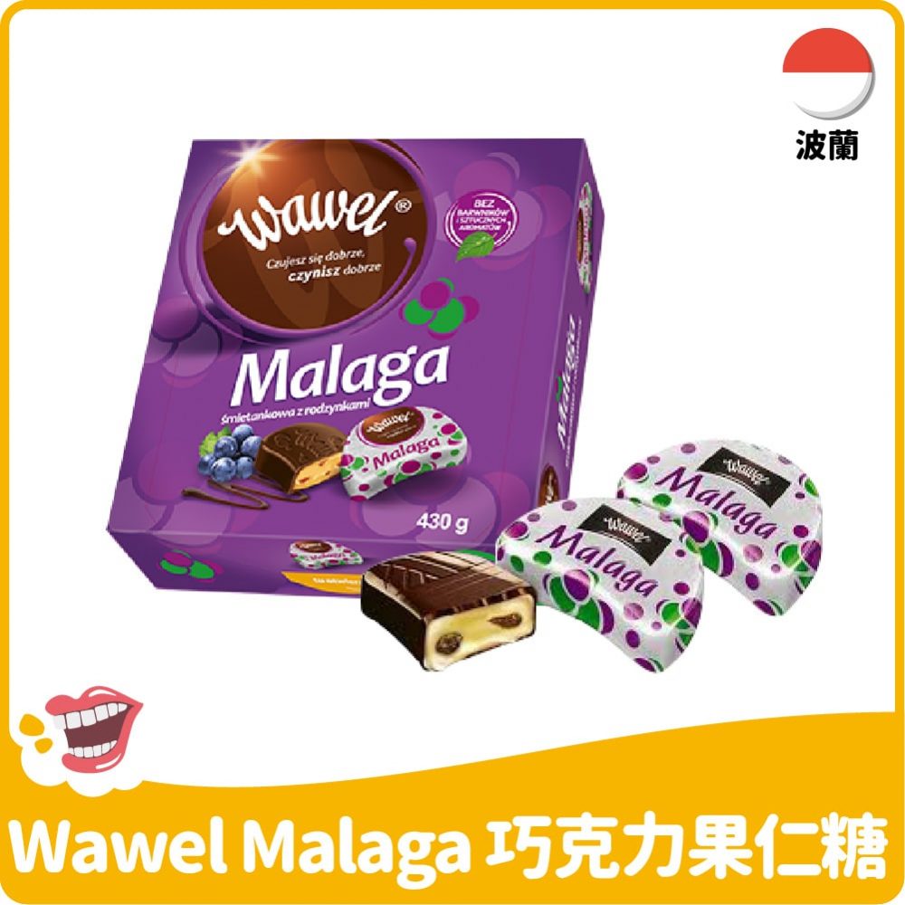 【波蘭】Wawel Malaga 波蘭巧克力果仁糖430g
